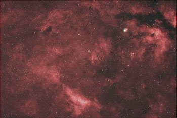 Cygnus Region