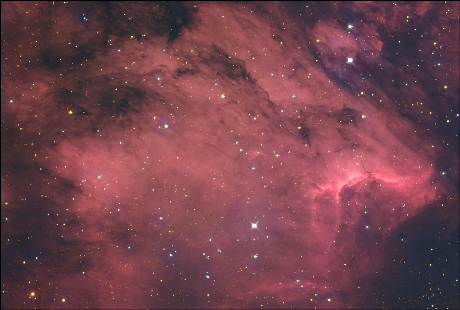 Pelican Nebulae