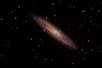 NGC253