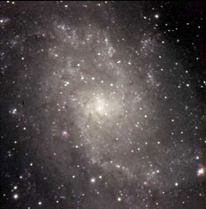 M33